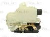 VW 3B1837016CG Door Lock